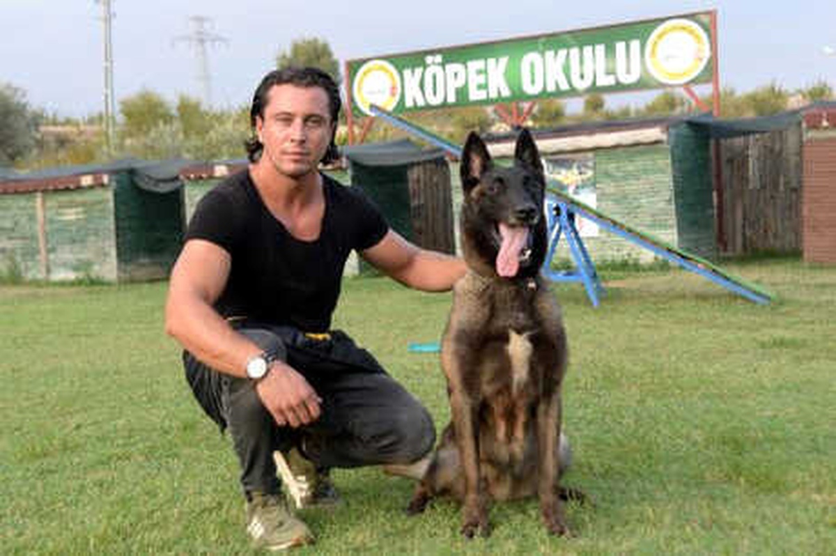 Köpekler, Türkiye ve Dünya Güvenliği İçin Eğitiliyor