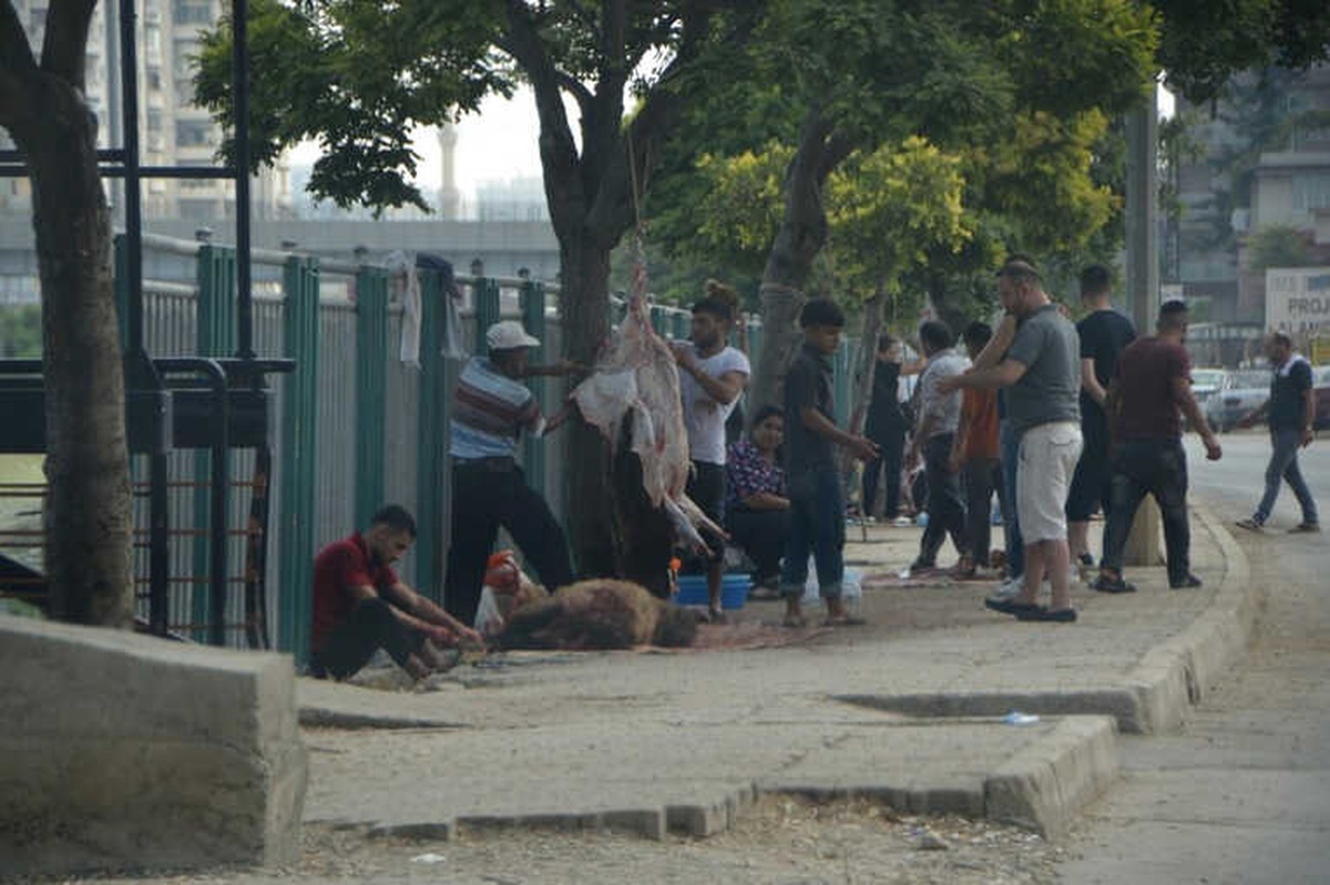 Kurban Keserken Ne Cezaya Ne de Çocuklara Aldırmadılar