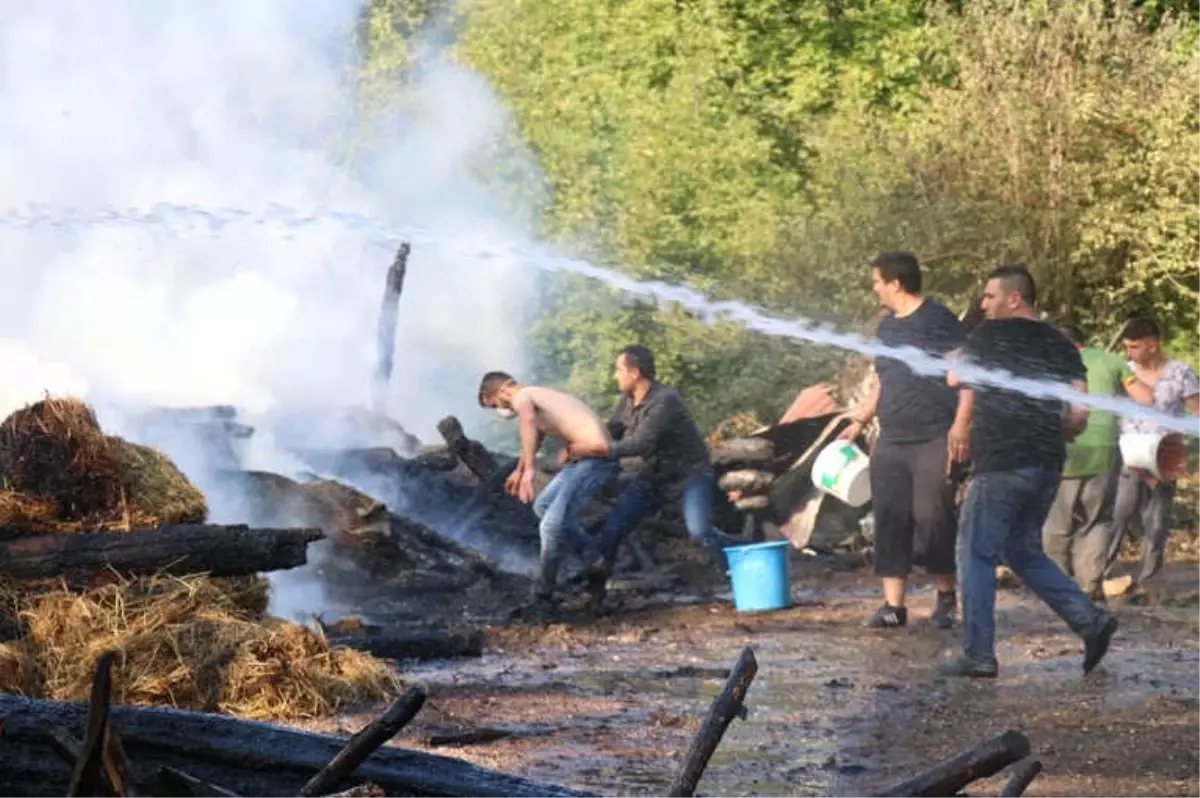 Samanlıkta Çıkan Yangın 1 Ev 4 Samanlığı Kullanılamaz Hale Getirdi