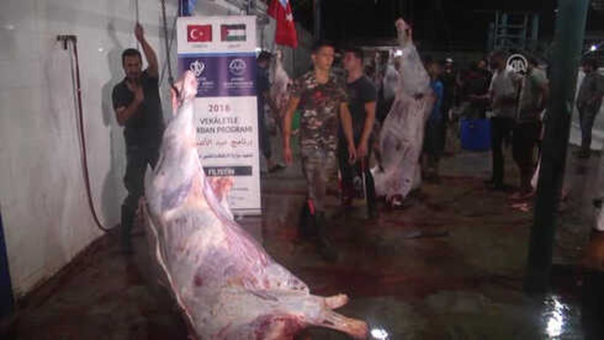 Tdv\'nin Gazze\'deki Kurban Projesi