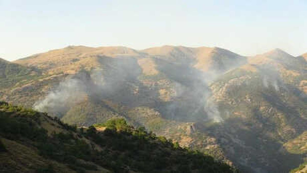 Tunceli\'deki Orman Yangınına Havadan Müdahale Talebi