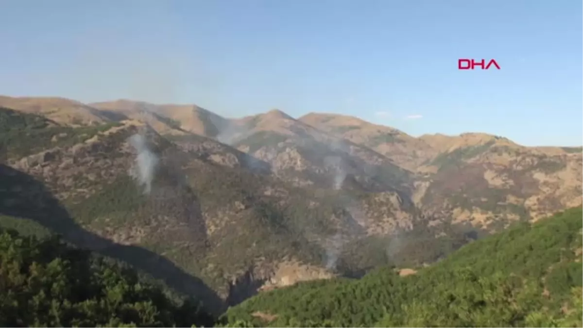 Tunceli\'deki Orman Yangınına Havadan Müdahale Talebi