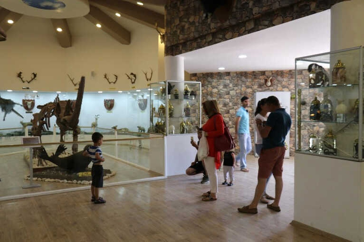 Gaziantep Zooloji ve Doğa Müzesi\'ne Yoğun İlgi