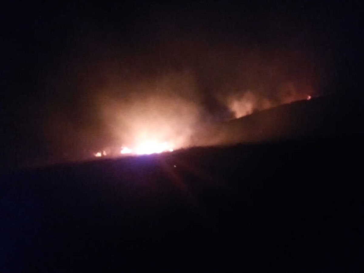 Niğde\'de Orman Yangını