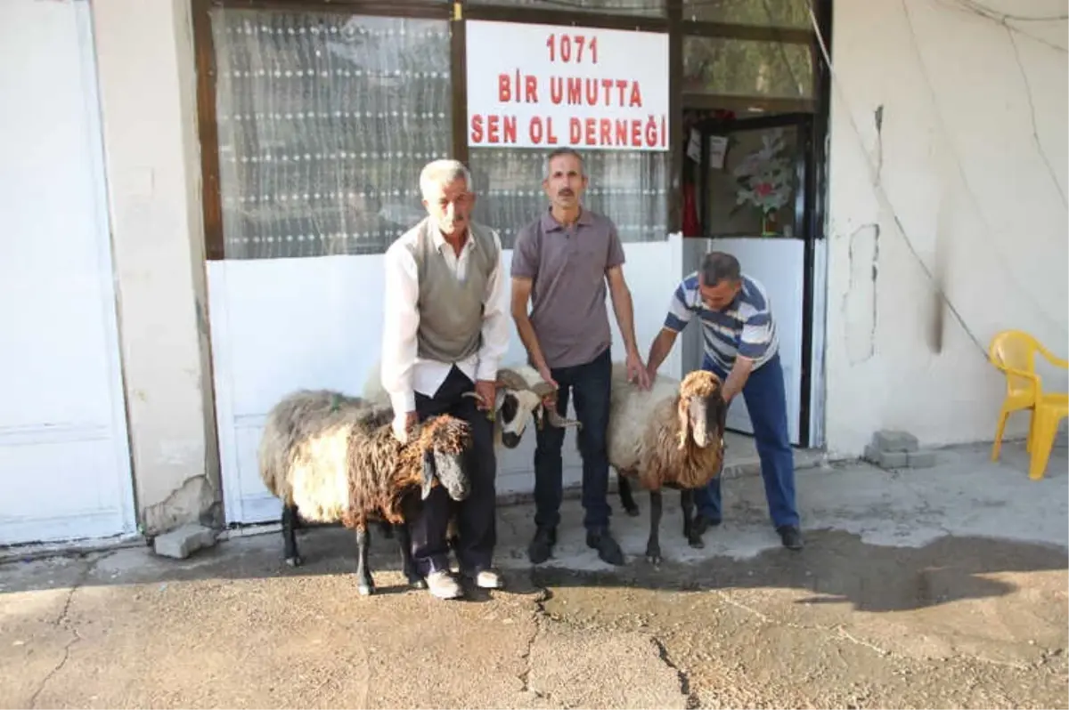 1071 Bir Umutta Sen Ol Derneği İhtiyaç Sahipleri İçin Kurban Kesti