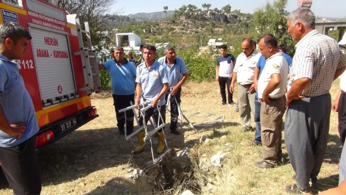 Çiftçilerin Üzümünü Yiyen Yavru Domuzu Düştüğü Kuyudan İtfaiye Kurtardı