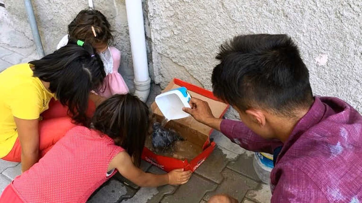 Çocuklar Yaralı Güvercin İçin Seferber Oldular