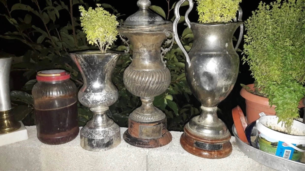 Denizlispor\'un Tarihi Kupaları Çiçek Saksısı Yapıldı
