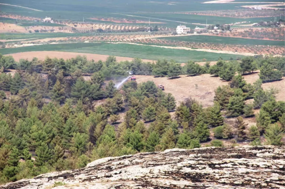 Göbeklitepe Yakınındaki Yangın Kontrol Altında