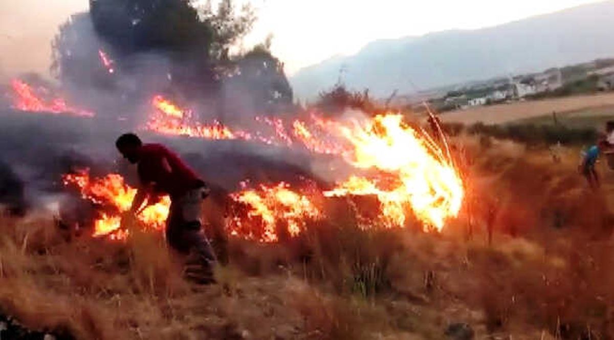 Kahramanmaraş\'ta Orman Yangını
