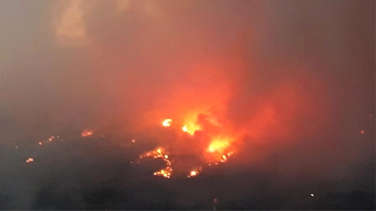 Kastamonu\'da Orman Yangını: 20 Dönümlük Alan Kül Oldu