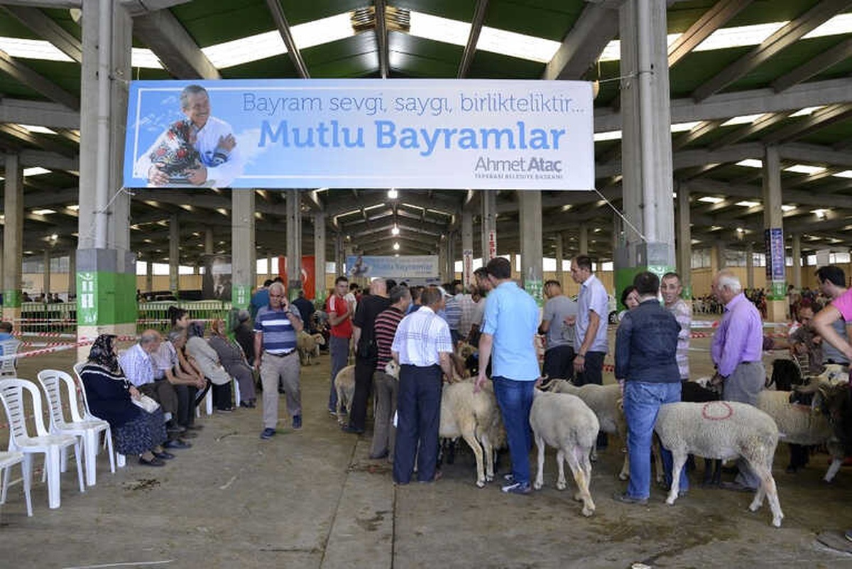 Tepebaşı Belediyesinde Kurban Hizmetleri Kız Kesmedi