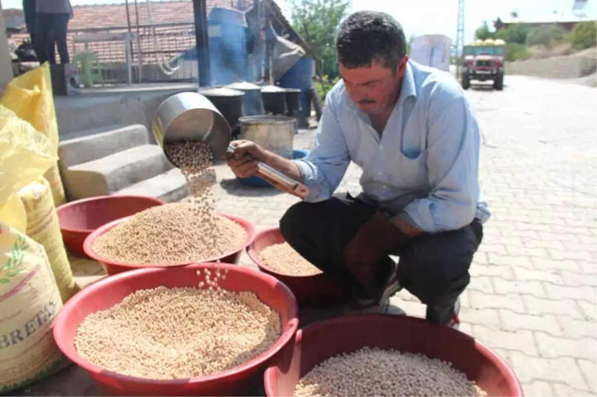 Ağın Leblebisine Talep Çoğaldı, Üretim Yüzde 300 Arttı