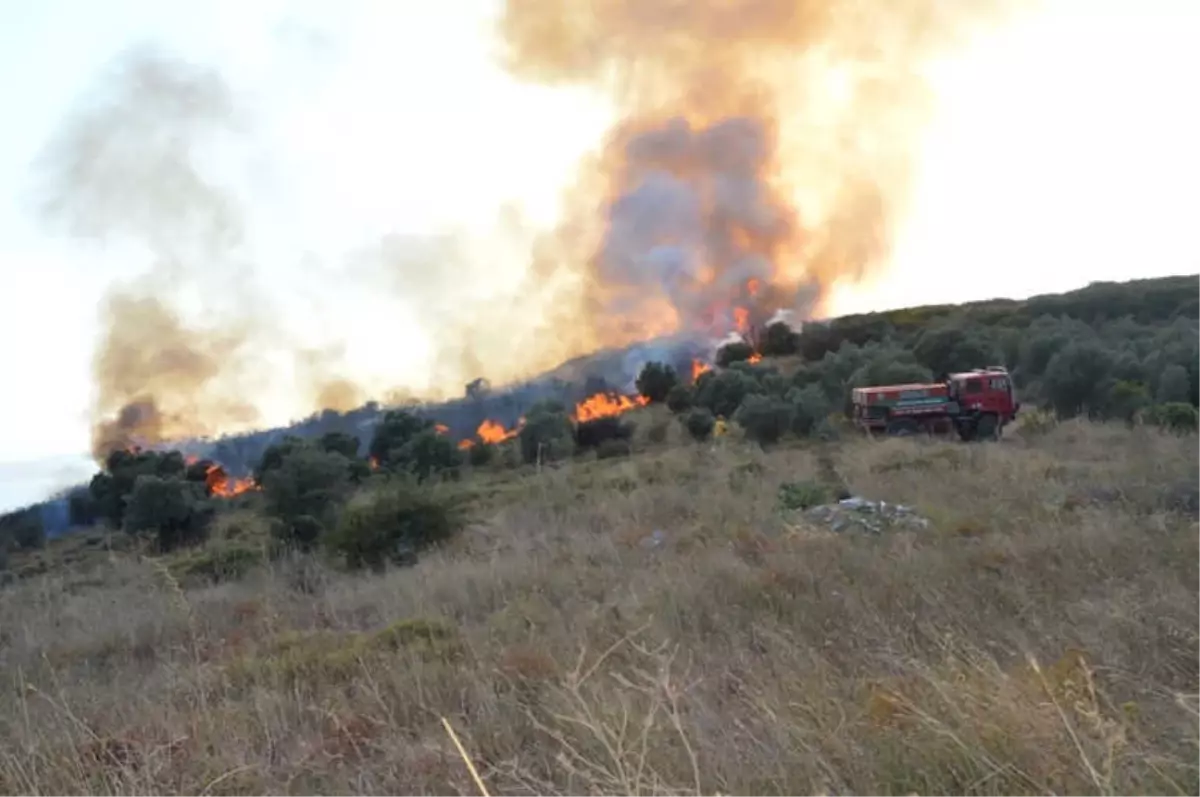 Çoban Ateşi Ormanı Yaktı