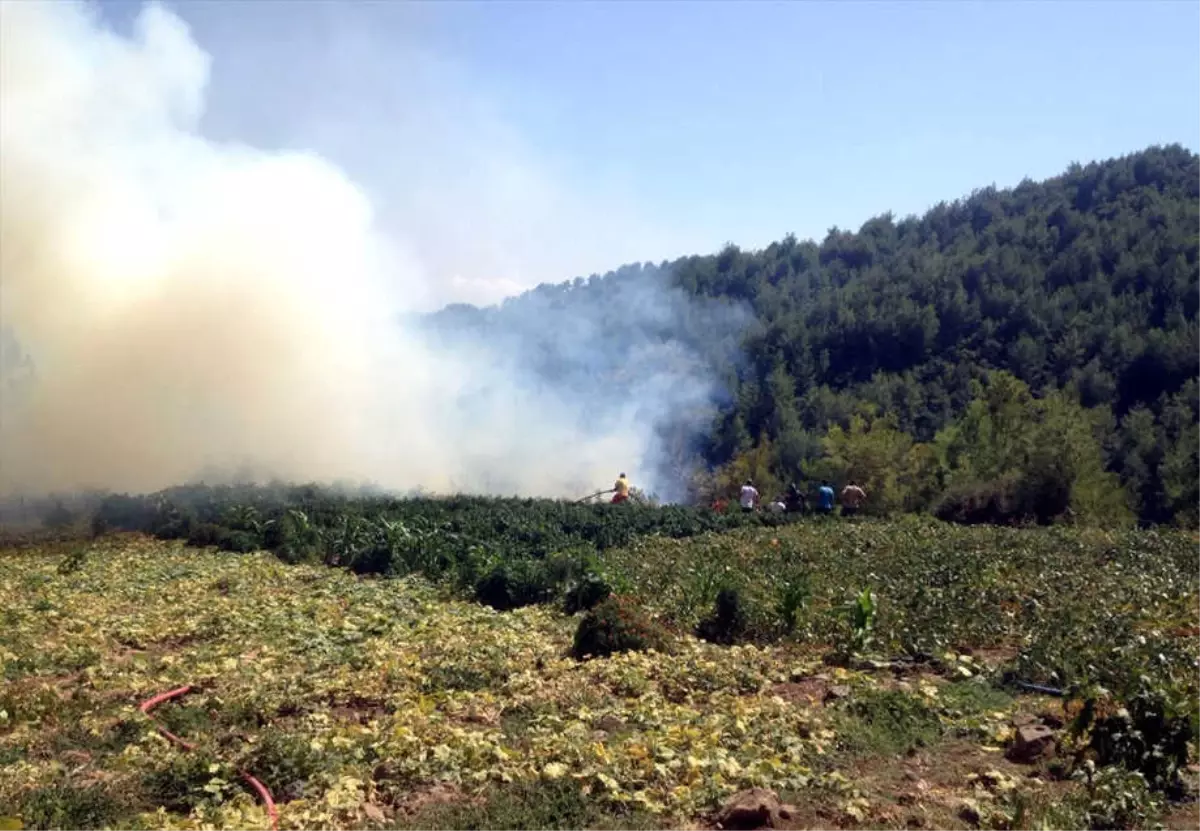 Hatay\'da Orman Yangını