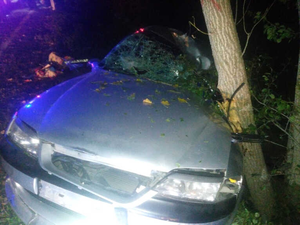 Hayvana Çarpmamak İçin Kaza Yaptılar: 1\'i Ağır 4 Yaralı