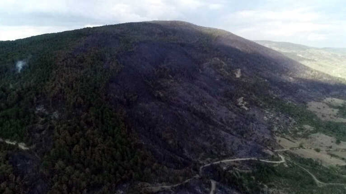 Kastamonu\'da Çıkan Orman Yangının Enkazı Havadan Görüntülendi