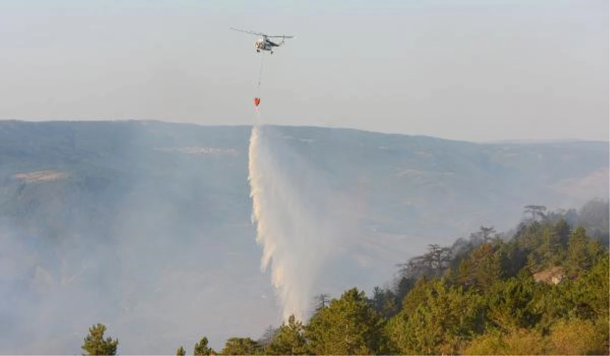 Kastamonu\'daki Orman Yangını 18 Saatte Söndürüldü, 20 Hektar Yandı