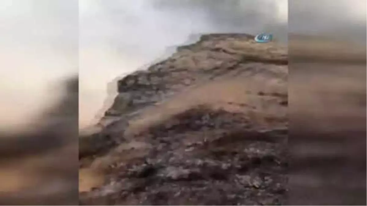 Ormanlık Alanda Çıkan Yangın Kontrol Altına Alındı