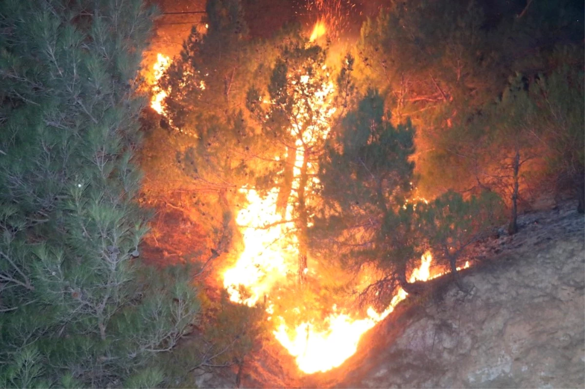 Sivas\'taki Orman Yangını Kontrol Altına Alındı