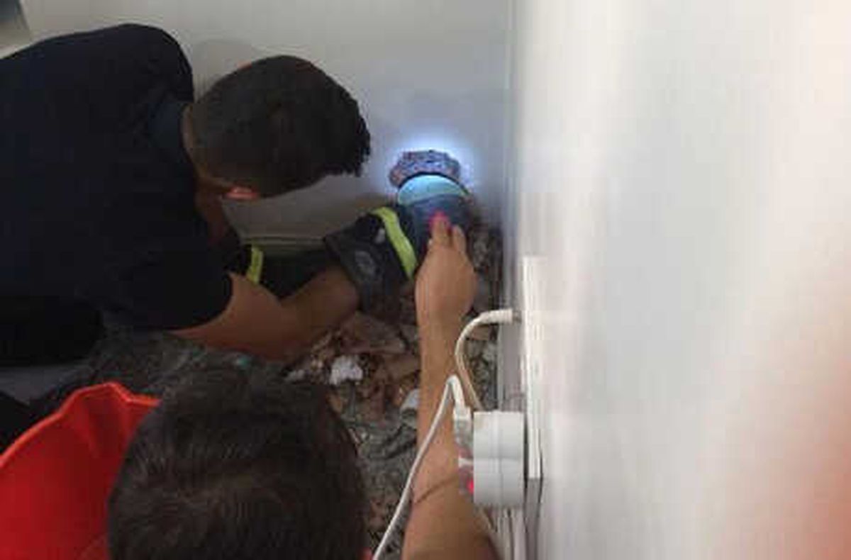 Bacaya Sıkışan Güvercini İtfaiye Kurtardı