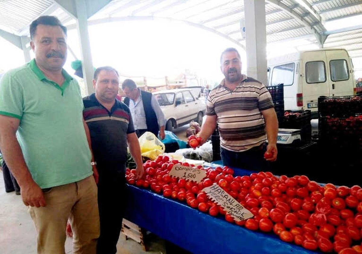 Bilinçli Üretim Yapan Domates Üreticisi Fungal Hastalığından Etkilenmedi