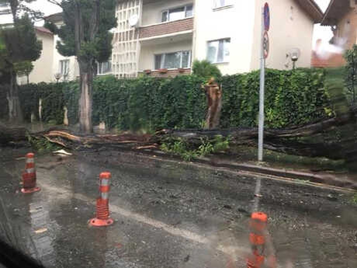 Eskişehir\'de Fırtına ve Sağanak, Hayatı Olumsuz Etkiledi