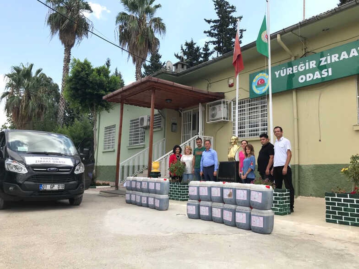 Akdeniz Meyve Sineğiyle Mücadelede Sona Yaklaşıldı