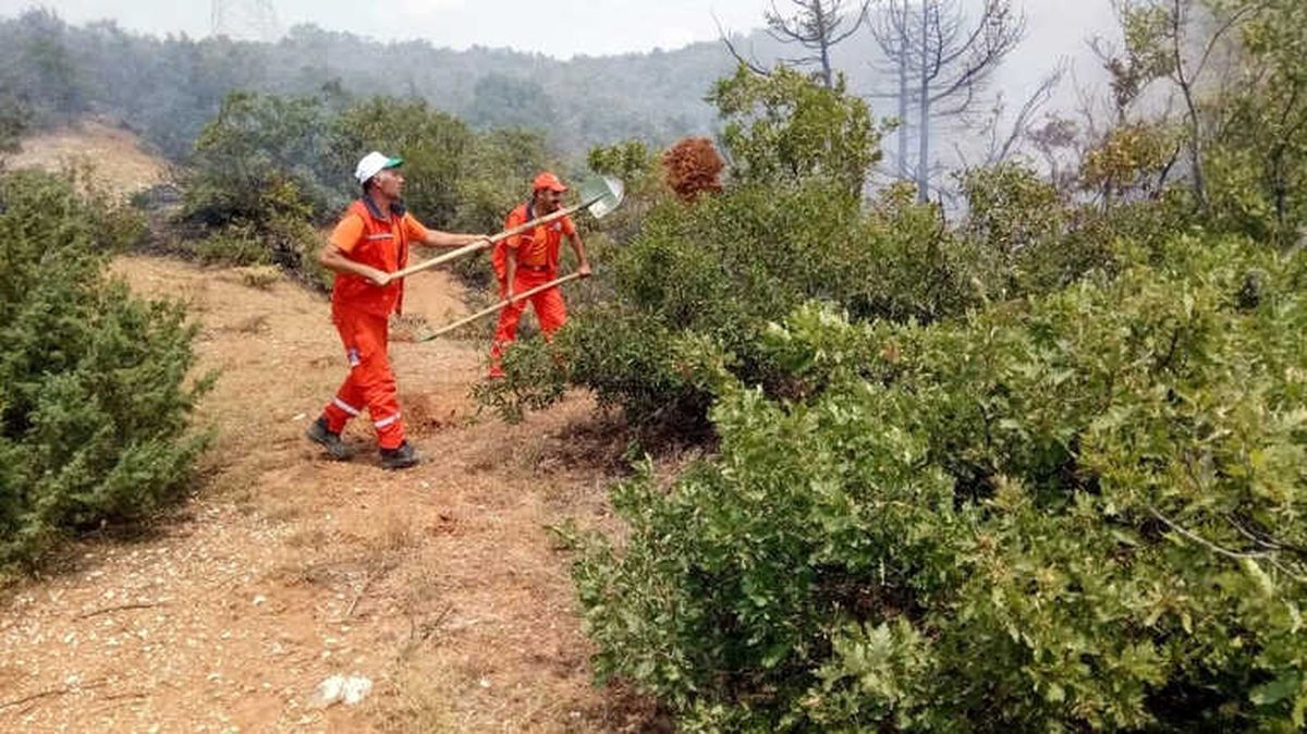 Bingöl\'de Ormanlık Alanda Yangın