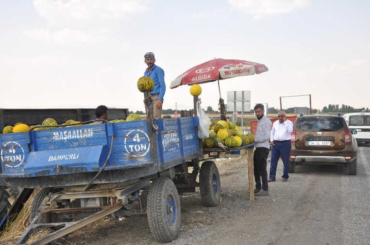 Bulanık Kavunu Tezgahtaki Yerini Aldı
