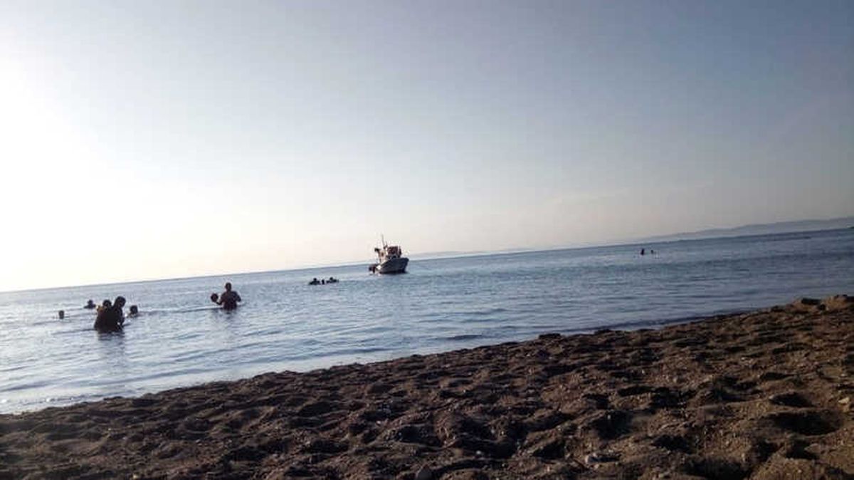 Çanakkale\'de Korkutan Deniz Canlısı