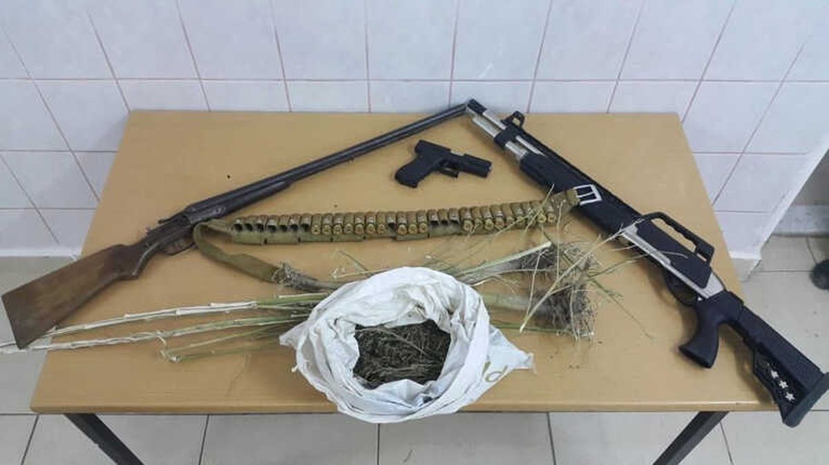 Çankırı\'da 69 Kök Kenevir Ele Geçirildi