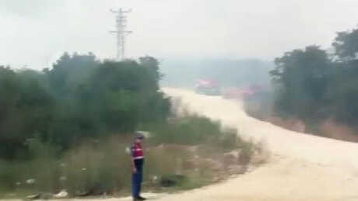 Çatalca\'da Orman Yangını