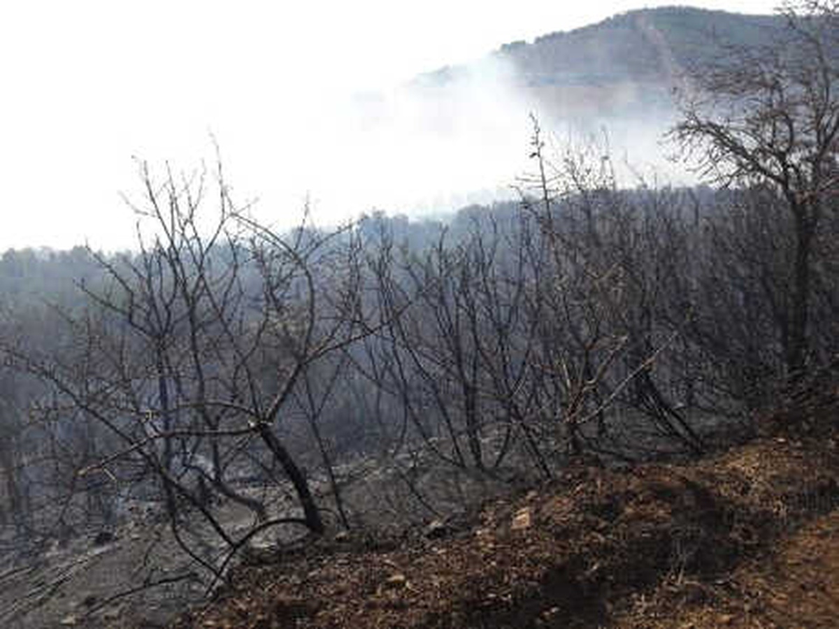 Erdek\'te Çıkan Yangın, 3 Saatte Kontrol Altına Alındı
