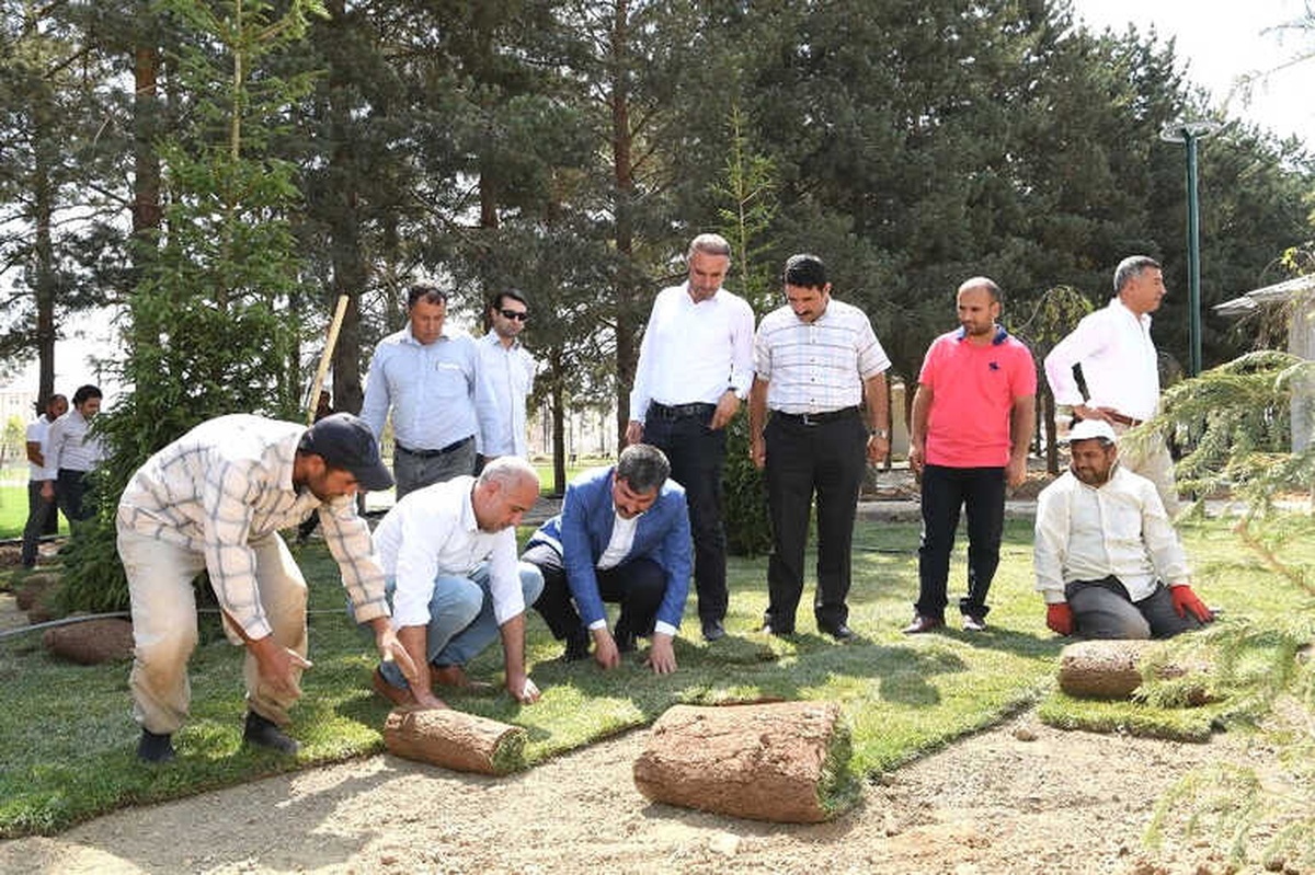 Göletli Park\'ta Yeşillendirme Çalışması