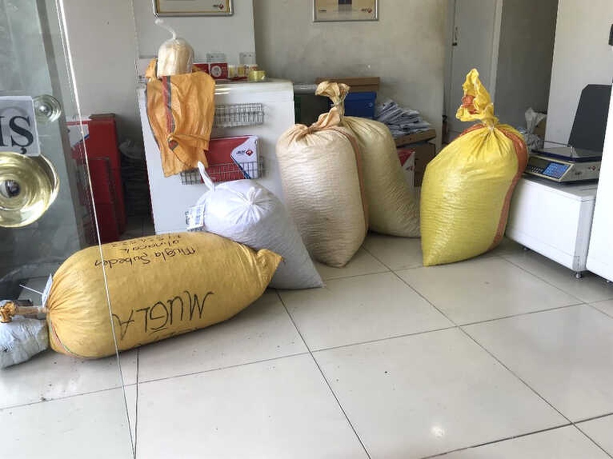 Kargolar ve Otogarlar Fındık Çuvalları ile Doldu
