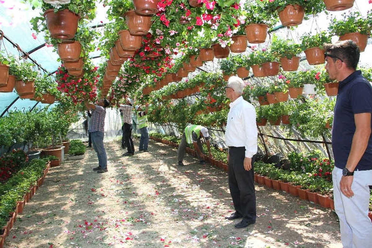 Renkli Festivalin Rengarenk Çiçekleri Hazır