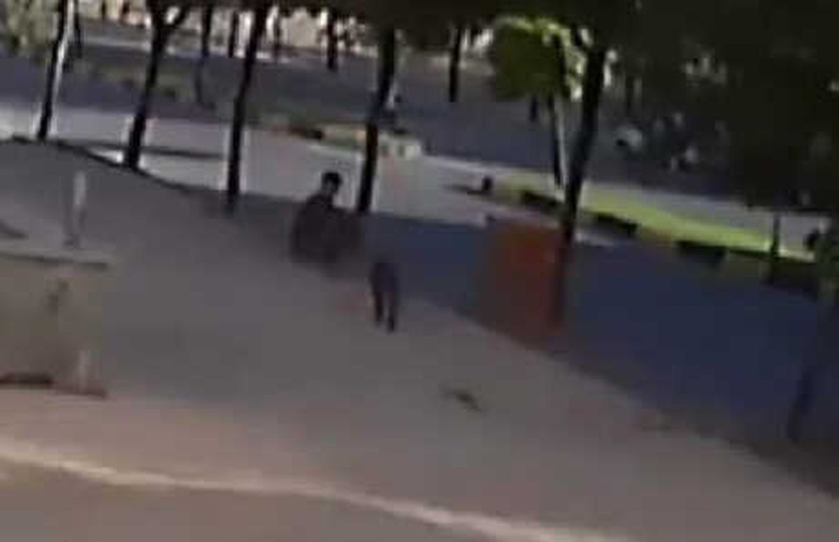 Veterinerden Çalınan Alman Kurdunu Polis Buldu