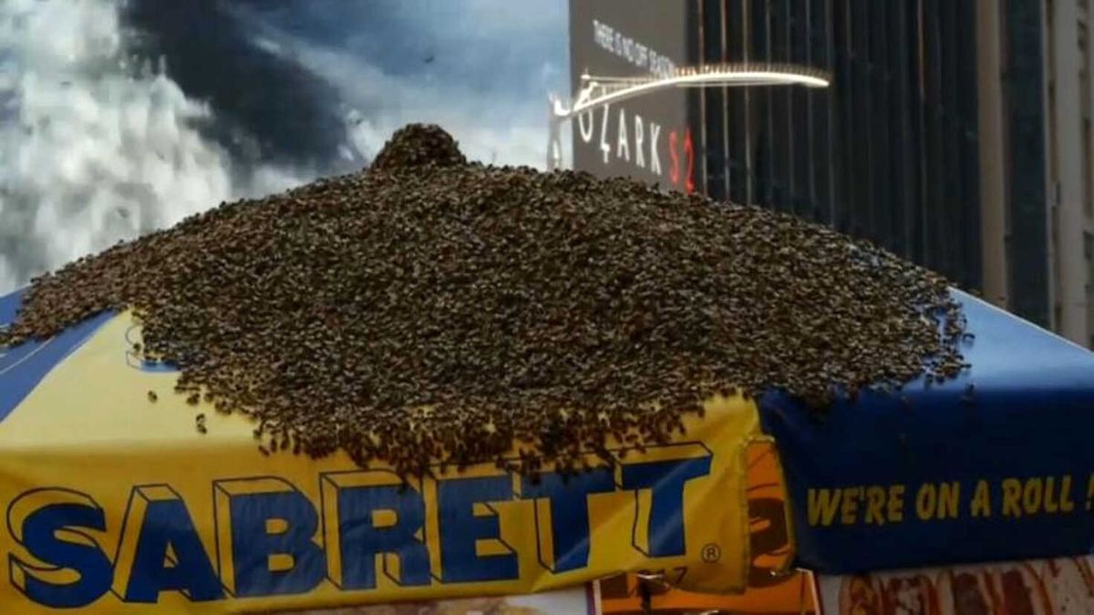 Abd: Times Meydanı\'na Arı Baskını