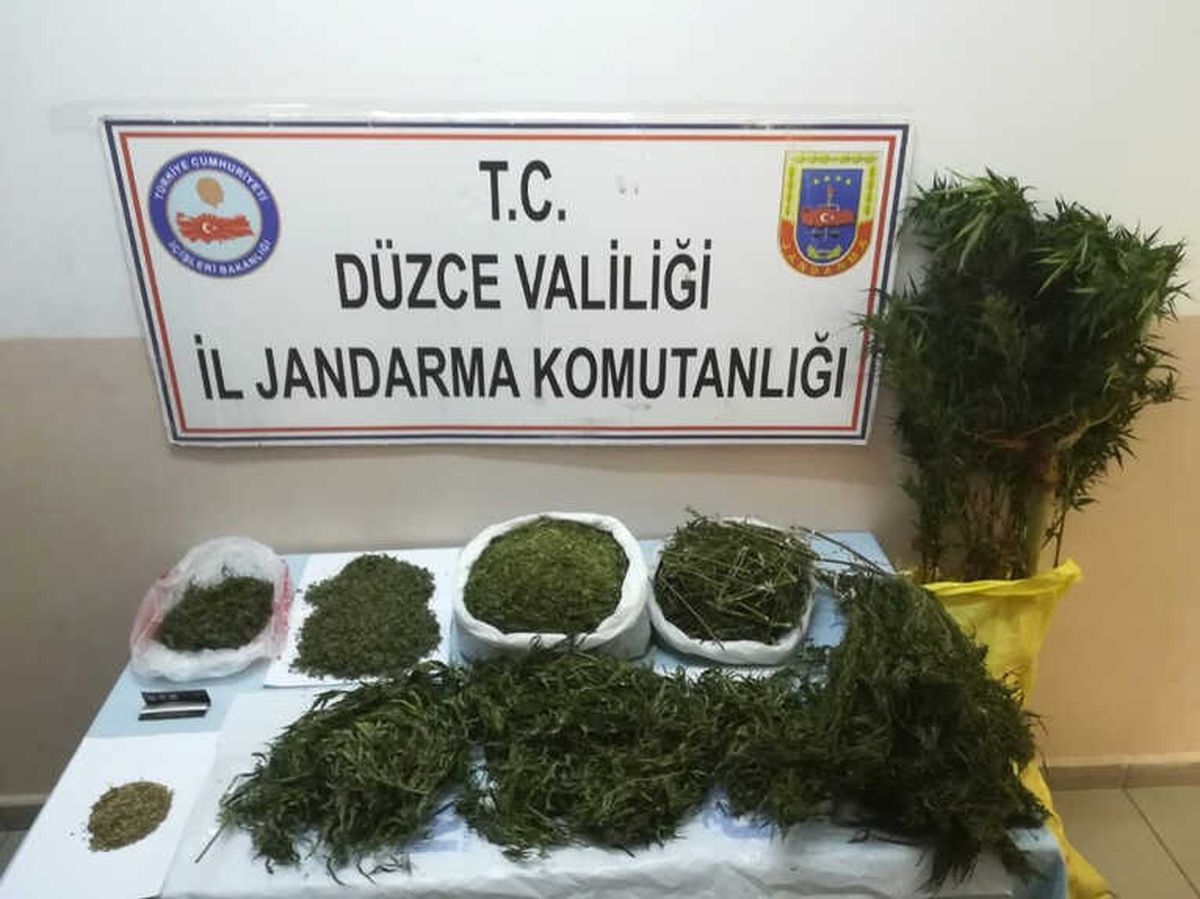 Düzce\'de Jandarmadan Uyuşturucu Operasyonu