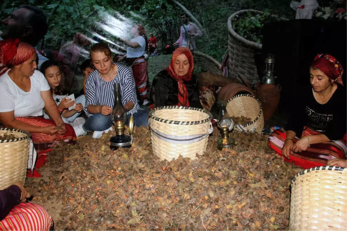 Fındığın Başkentinde \'Fındık Festivali\'