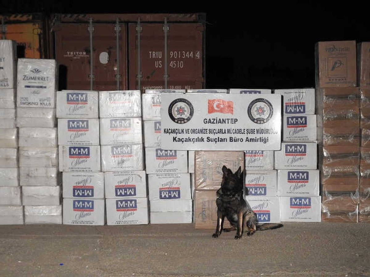Gaziantep\'te 101 Bin Paket Gümrük Kaçağı Sigara Ele Geçirildi