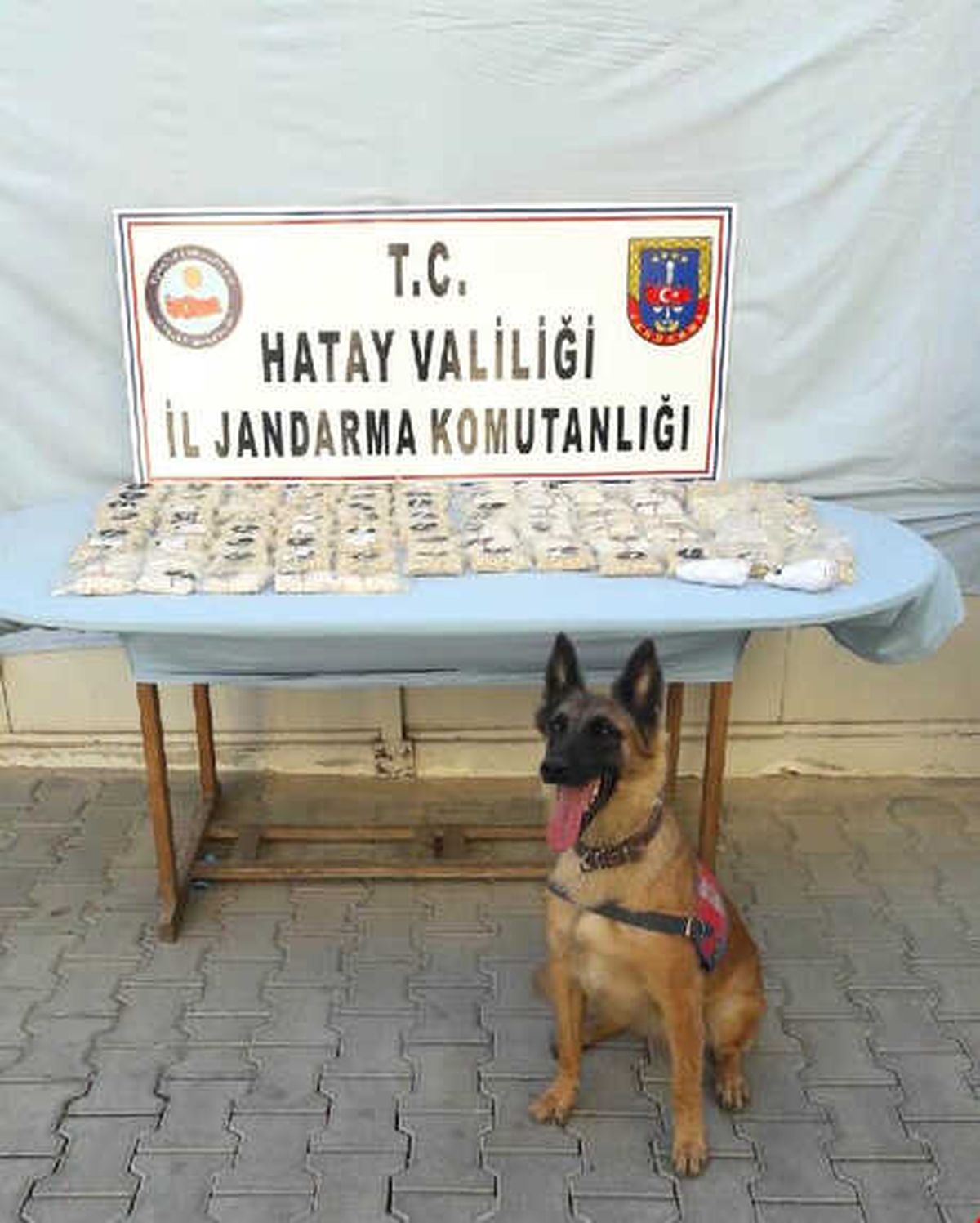 Hatay\'da Uyuşturucu Hap Operasyonu