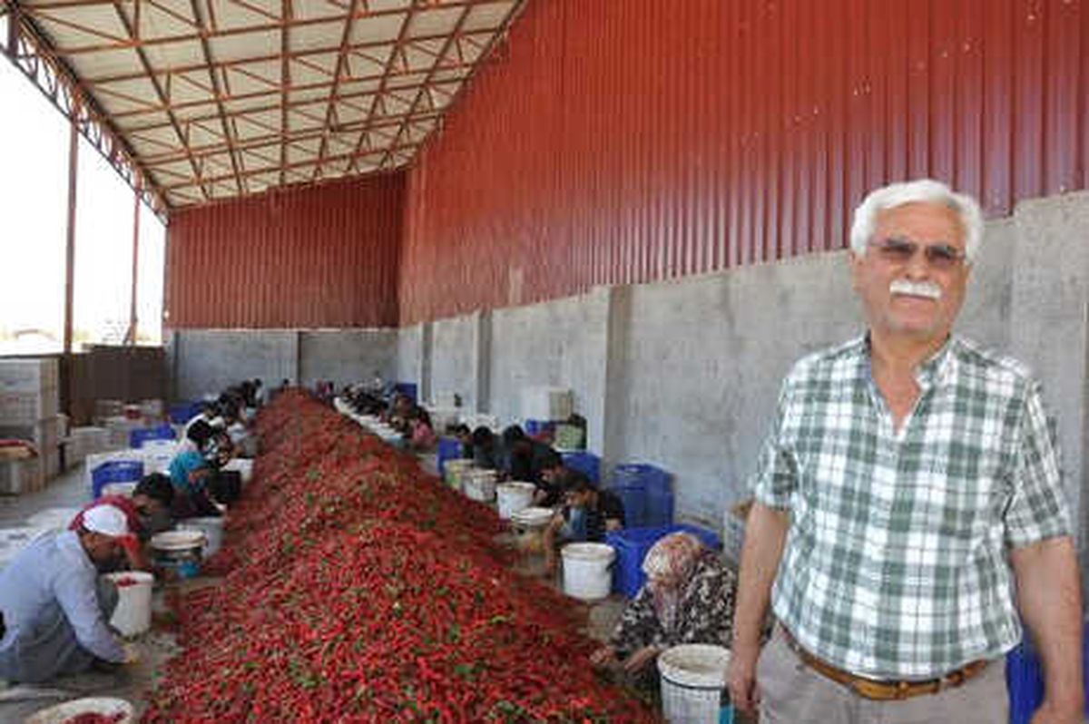 İslahiye\'de \'Acı\' Mesaisi Başladı