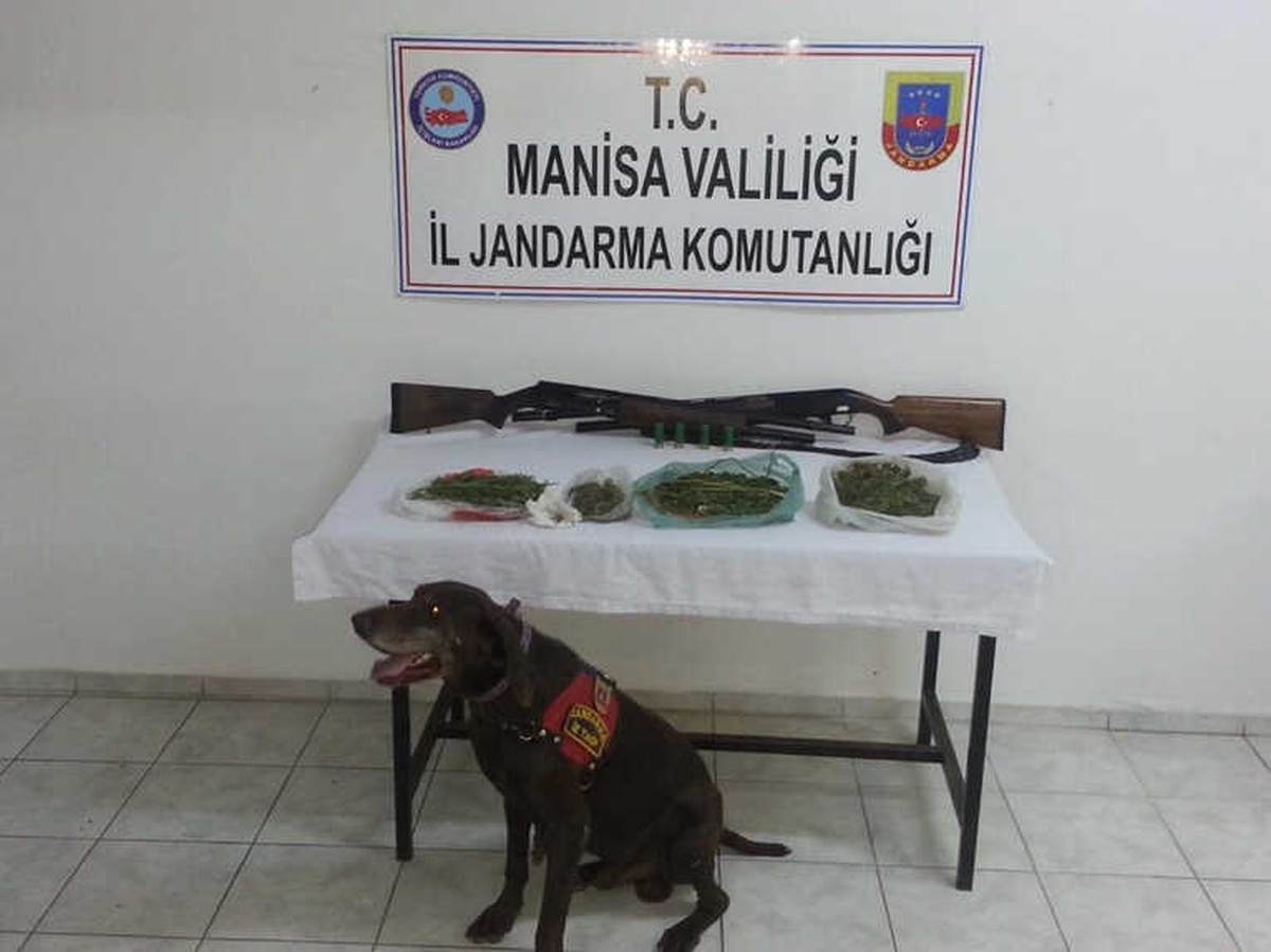 Jandarma Esrara Geçit Vermedi