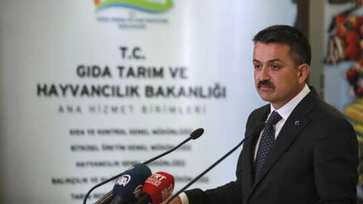 Pakdemirli: Şarbonlu Hayvanlar Hiçbir Şekilde Piyasaya Verilmedi
