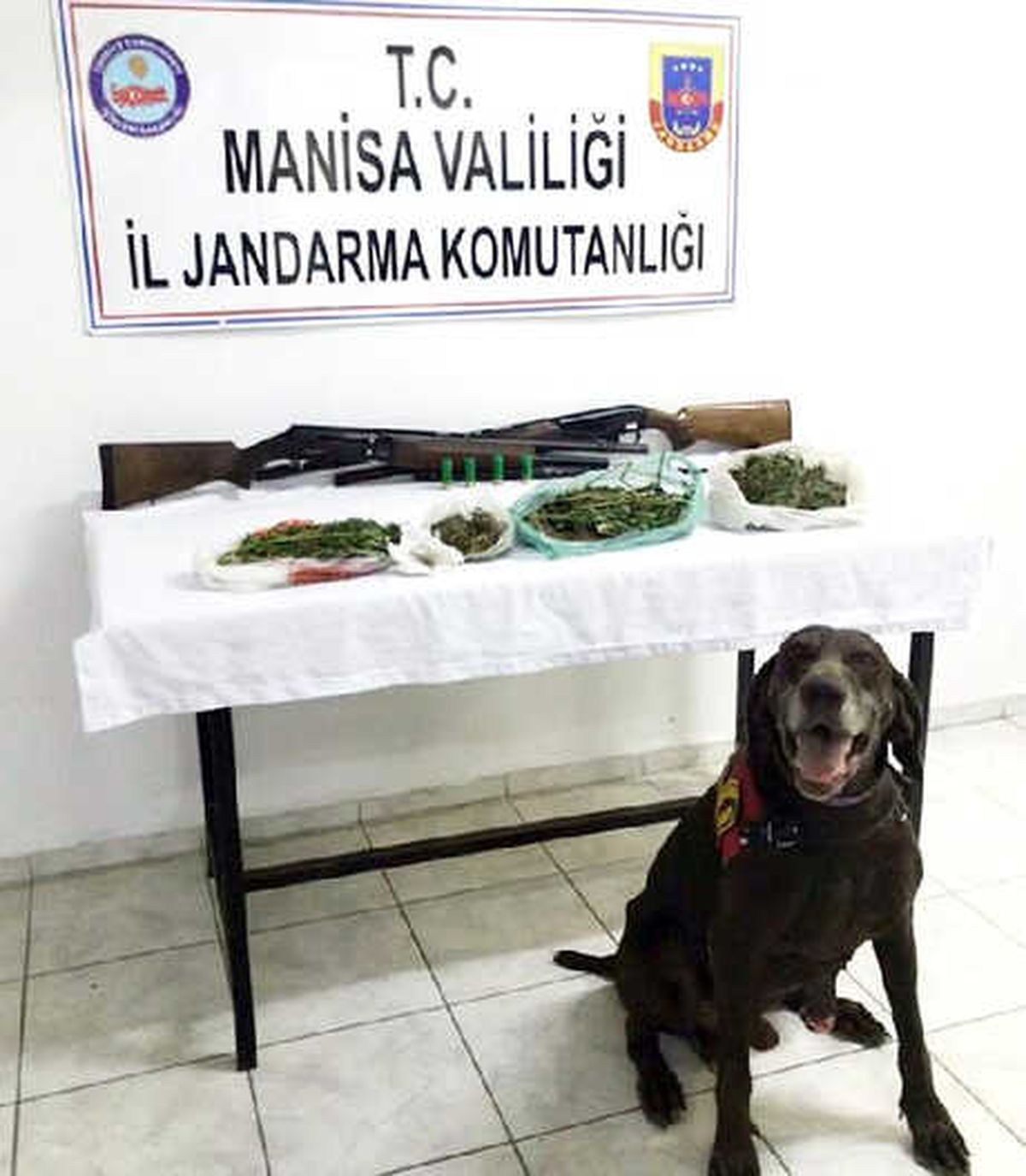 Turgutlu\'da 1 Kilo 393 Gram Esrar Ele Geçirildi