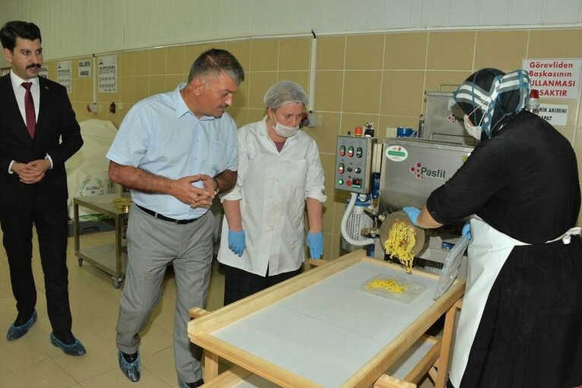 Vali Yazıcı, Başarılı İş Kadını Kutladı
