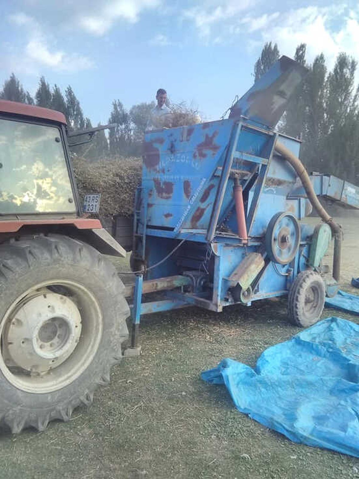 Nohut Hasadı Patozla Yapılıyor