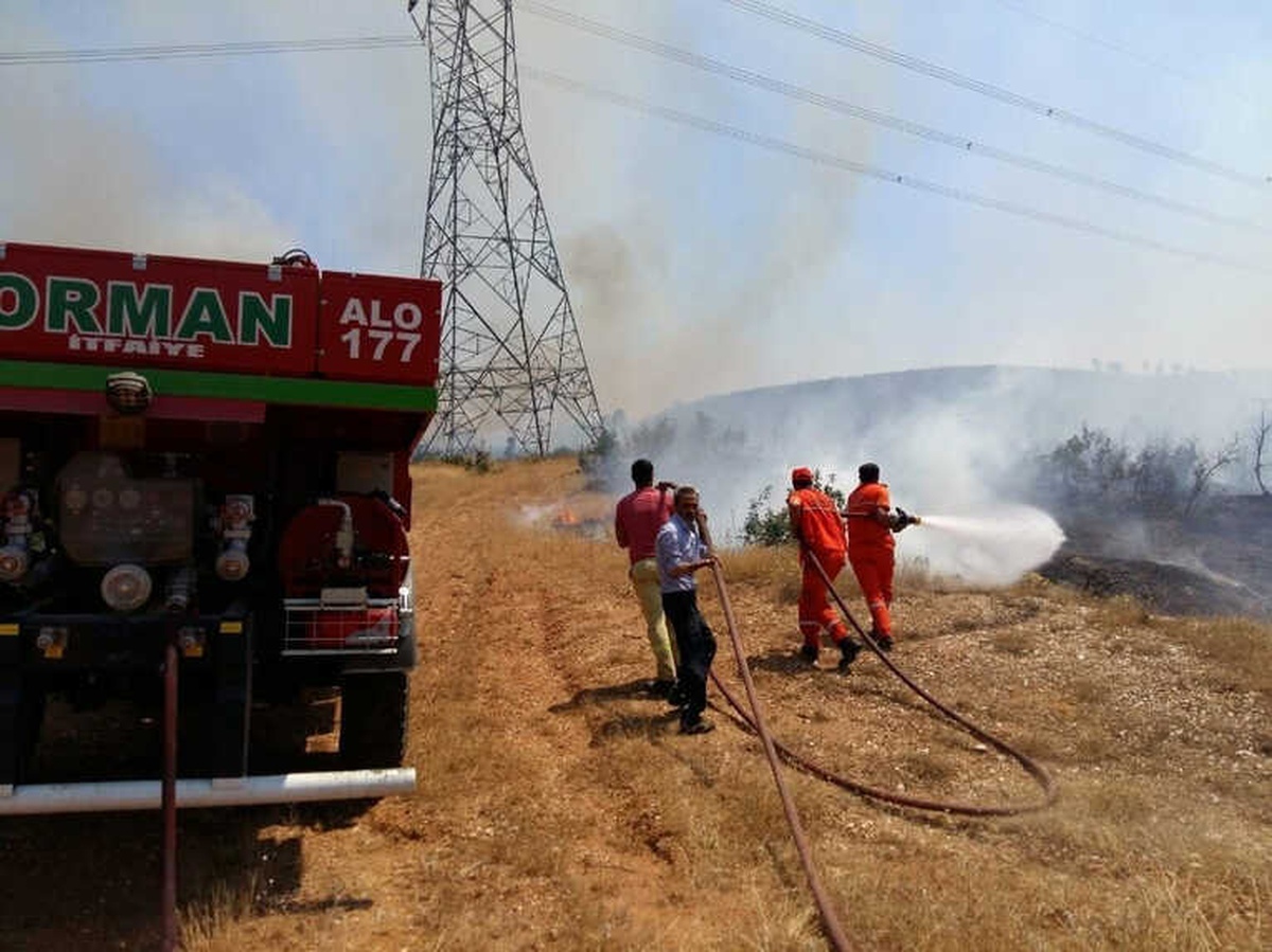 Ormanlık Alandaki Yangın Kontrol Altına Alındı